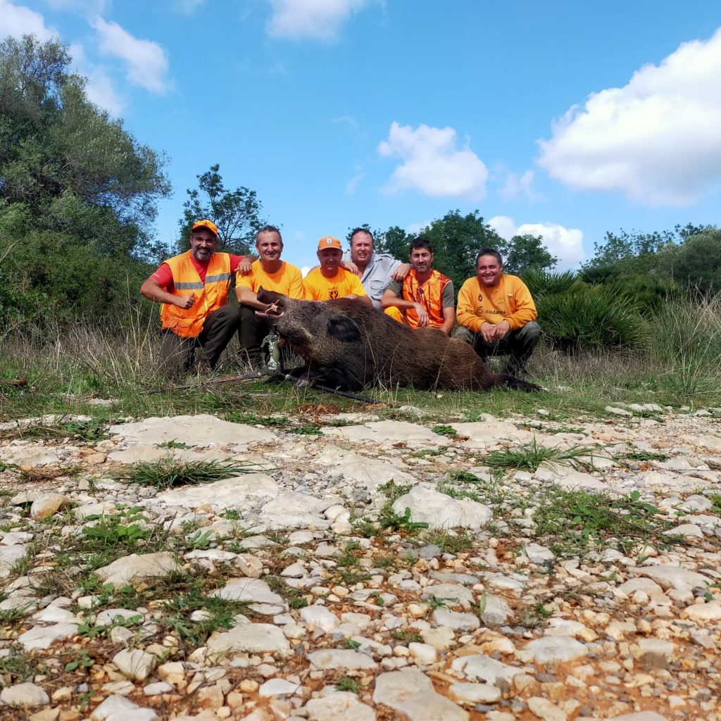 La Generalitat concedix a Santa Magdalena 9.600 € per al control de la sobreabundància de senglar